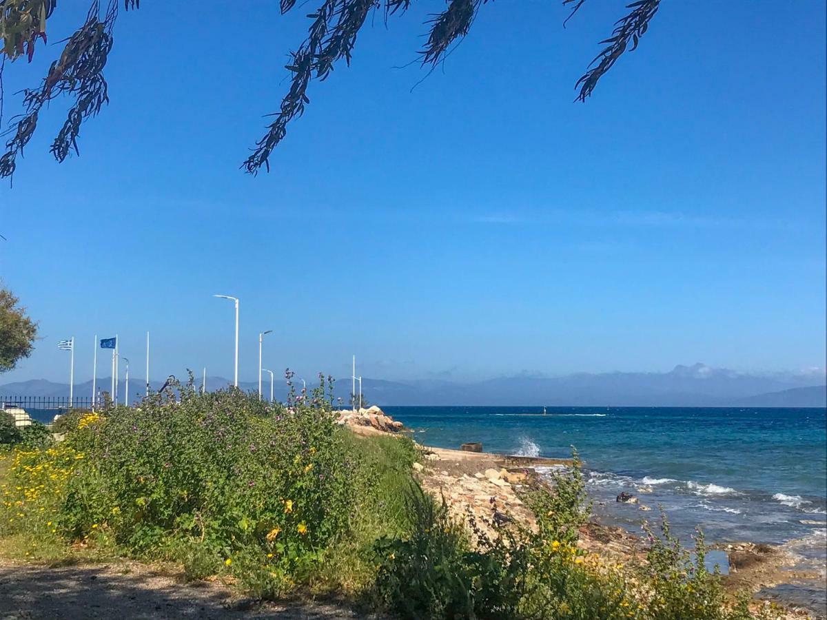 Marina Apartment Artemida  Dış mekan fotoğraf